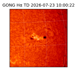 gong - 2026-07-23T10:00:22