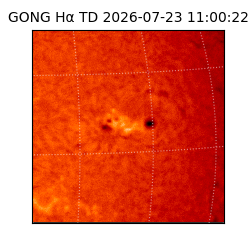 gong - 2026-07-23T11:00:22