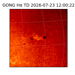 gong - 2026-07-23T12:00:22