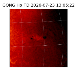 gong - 2026-07-23T13:05:22