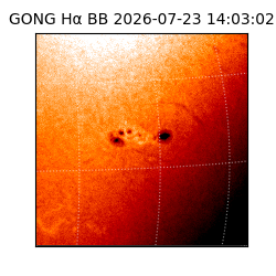 gong - 2026-07-23T14:03:02