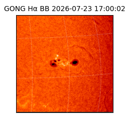 gong - 2026-07-23T17:00:02
