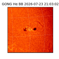 gong - 2026-07-23T21:03:02