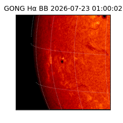 gong - 2026-07-23T01:00:02