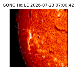 gong - 2026-07-23T07:00:42