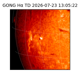 gong - 2026-07-23T13:05:22