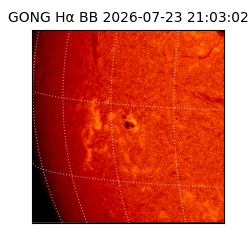 gong - 2026-07-23T21:03:02