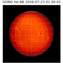 gong - 2026-07-23T01:00:02