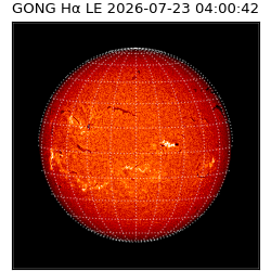 gong - 2026-07-23T04:00:42