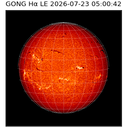 gong - 2026-07-23T05:00:42