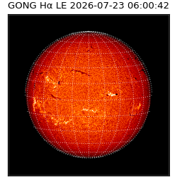 gong - 2026-07-23T06:00:42