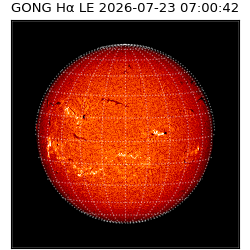 gong - 2026-07-23T07:00:42