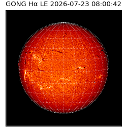 gong - 2026-07-23T08:00:42