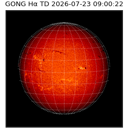 gong - 2026-07-23T09:00:22