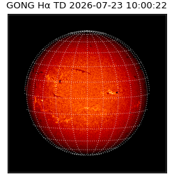 gong - 2026-07-23T10:00:22