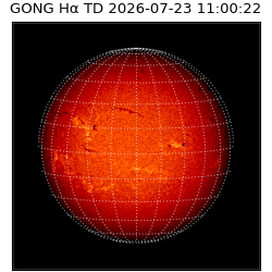 gong - 2026-07-23T11:00:22