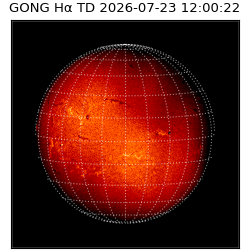 gong - 2026-07-23T12:00:22