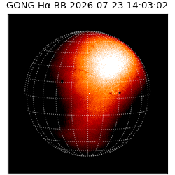 gong - 2026-07-23T14:03:02