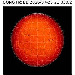 gong - 2026-07-23T21:03:02