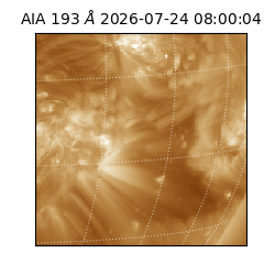 saia - 2026-07-24T08:00:04.842000