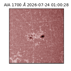 saia - 2026-07-24T01:00:28.723000