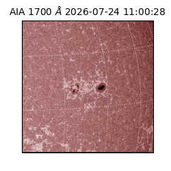 saia - 2026-07-24T11:00:28.722000
