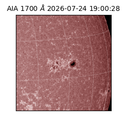saia - 2026-07-24T19:00:28.740000