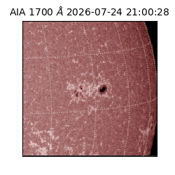 saia - 2026-07-24T21:00:28.716000