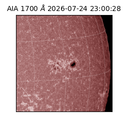 saia - 2026-07-24T23:00:28.716000