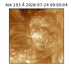 saia - 2026-07-24T09:00:04.842000