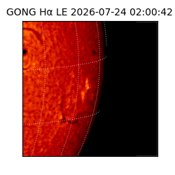 gong - 2026-07-24T02:00:42