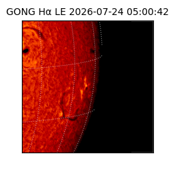 gong - 2026-07-24T05:00:42