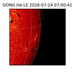 gong - 2026-07-24T07:00:42