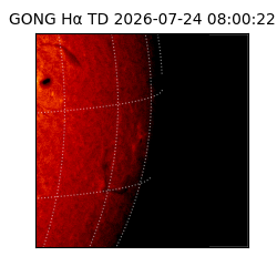 gong - 2026-07-24T08:00:22