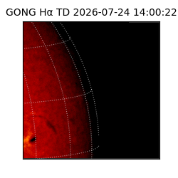 gong - 2026-07-24T14:00:22