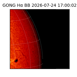 gong - 2026-07-24T17:00:02