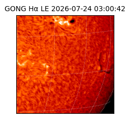 gong - 2026-07-24T03:00:42