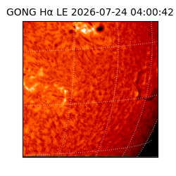 gong - 2026-07-24T04:00:42