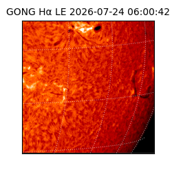 gong - 2026-07-24T06:00:42
