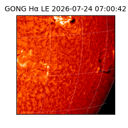 gong - 2026-07-24T07:00:42