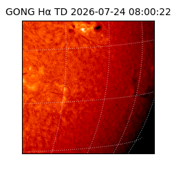 gong - 2026-07-24T08:00:22
