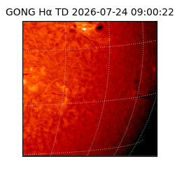 gong - 2026-07-24T09:00:22