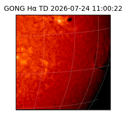 gong - 2026-07-24T11:00:22
