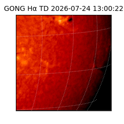 gong - 2026-07-24T13:00:22