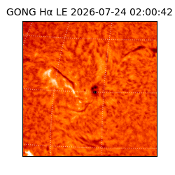 gong - 2026-07-24T02:00:42