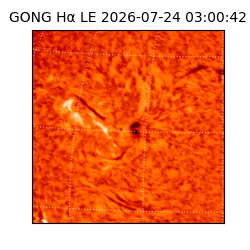 gong - 2026-07-24T03:00:42