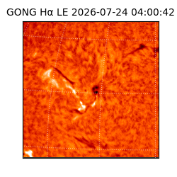 gong - 2026-07-24T04:00:42