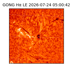 gong - 2026-07-24T05:00:42
