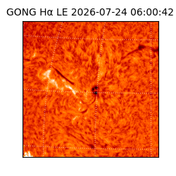 gong - 2026-07-24T06:00:42