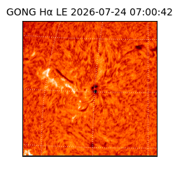 gong - 2026-07-24T07:00:42